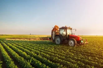 Վարելահողերի մասնաբաժնով առաջատար երկրները. Ո՞ր դիրքերում է Հայաստանը. ԻՆՖՈԳՐԱՖԻԿԱ