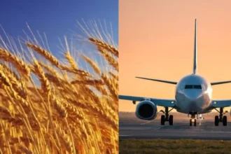 Տոկաևը՝ ղազախական ցորենի և Երևան-Աստանա ուղիղ չվերթերի մասին